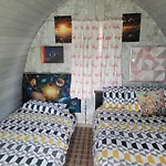 Shannon Estuary Glamping Budget-sustainable-biodiversity Habitat--rustic-countryside אתר קמפינג Effernan