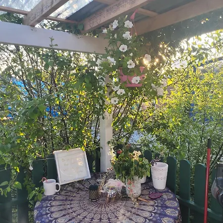 Kemping Shannon Estuary Glamping Effernan