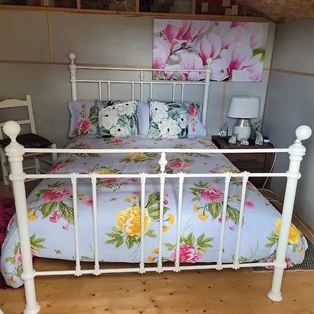 אתר קמפינג Shannon Estuary Glamping Budget-sustainable-biodiversity Habitat--rustic-countryside Effernan