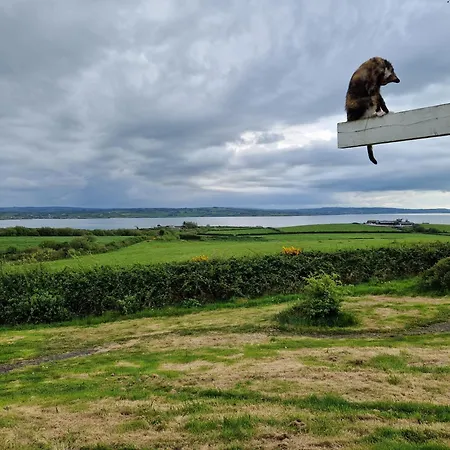 Shannon Estuary Glamping Budget-sustainable-biodiversity Habitat--rustic-countryside אתר קמפינג