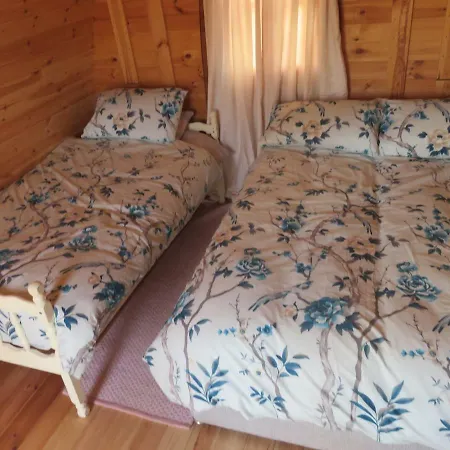 Shannon Estuary Glamping Kemping *