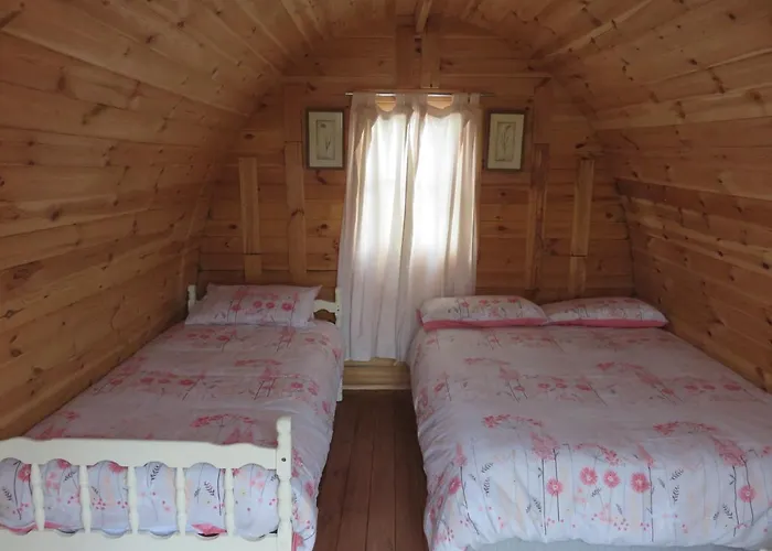 Campsite Shannon Estuary Glamping Budget-sustainable-biodiversity Habitat--rustic-countryside