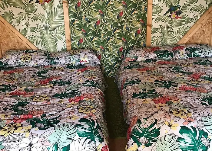 Shannon Estuary Glamping Budget-sustainable-biodiversity Habitat--rustic-countryside * Effernan