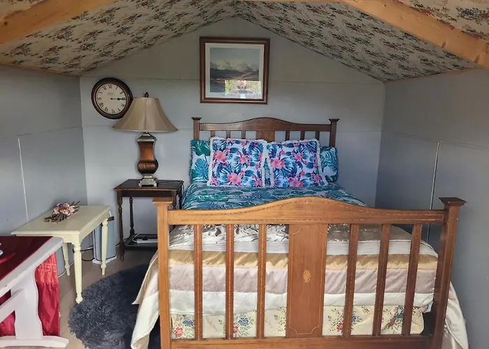 Shannon Estuary Glamping Budget-sustainable-biodiversity Habitat--rustic-countryside *