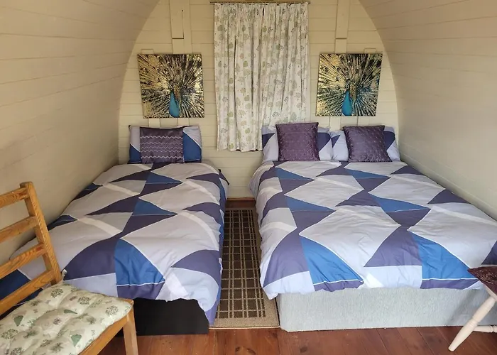 Campsite Shannon Estuary Glamping Budget-sustainable-biodiversity Habitat--rustic-countryside *