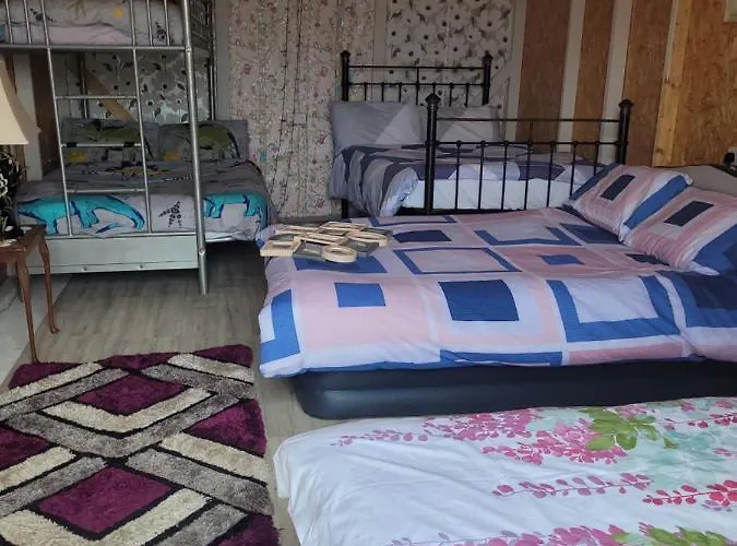 Campsite Shannon Estuary Glamping Budget-sustainable-biodiversity Habitat--rustic-countryside Effernan