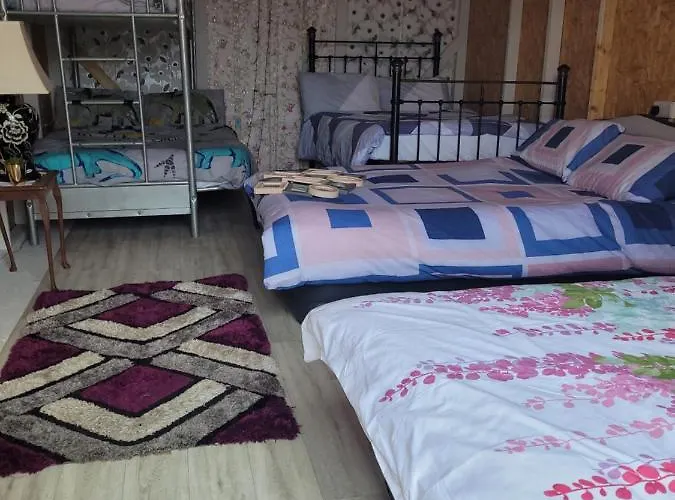 Campsite Shannon Estuary Glamping Budget-sustainable-biodiversity Habitat--rustic-countryside