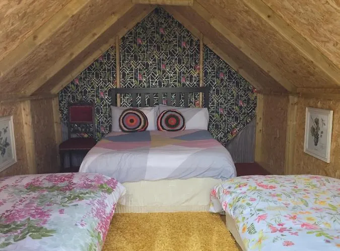 キャンプ場 Shannon Estuary Glamping Budget-sustainable-biodiversity Habitat--rustic-countryside *