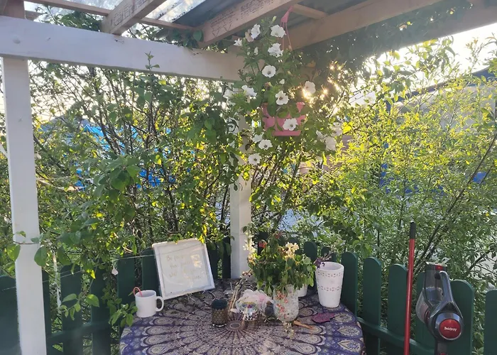 キャンプ場 Shannon Estuary Glamping Budget-sustainable-biodiversity Habitat--rustic-countryside Effernan