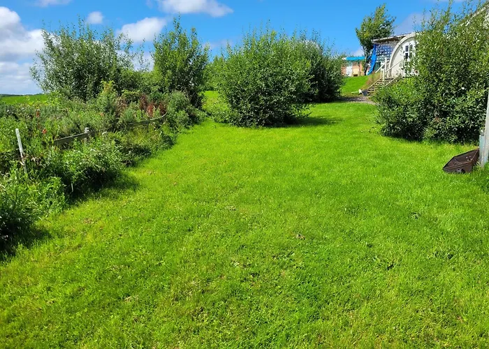 キャンプ場 Shannon Estuary Glamping Budget-sustainable-biodiversity Habitat--rustic-countryside *