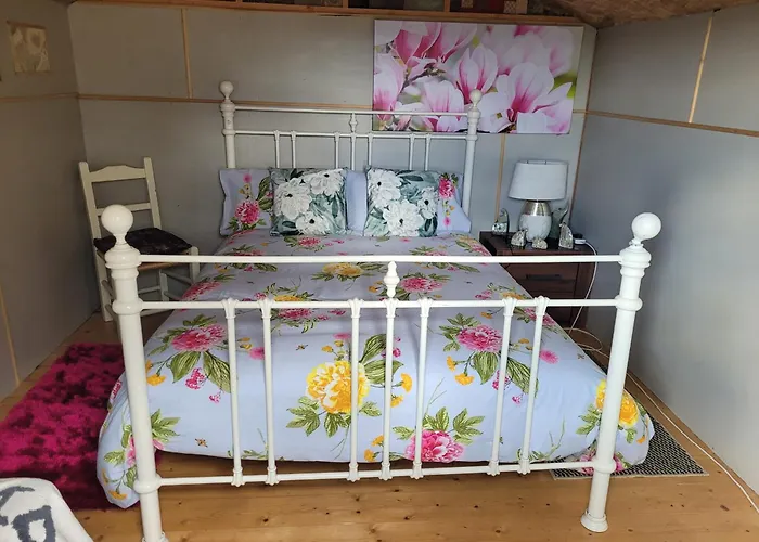 Campsite Shannon Estuary Glamping Budget-sustainable-biodiversity Habitat--rustic-countryside Effernan