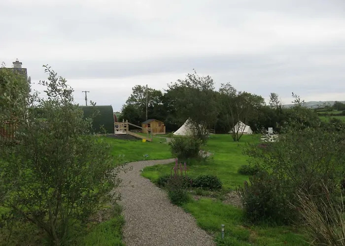 Shannon Estuary Glamping Budget-sustainable-biodiversity Habitat--rustic-countryside