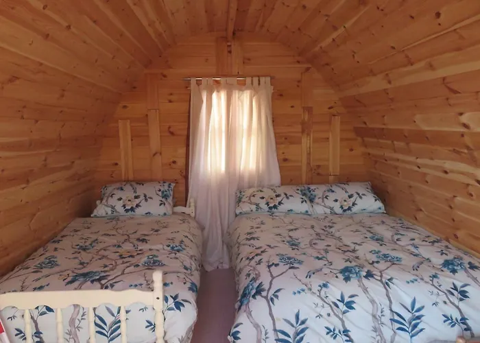 Campsite Shannon Estuary Glamping Budget-sustainable-biodiversity Habitat--rustic-countryside *