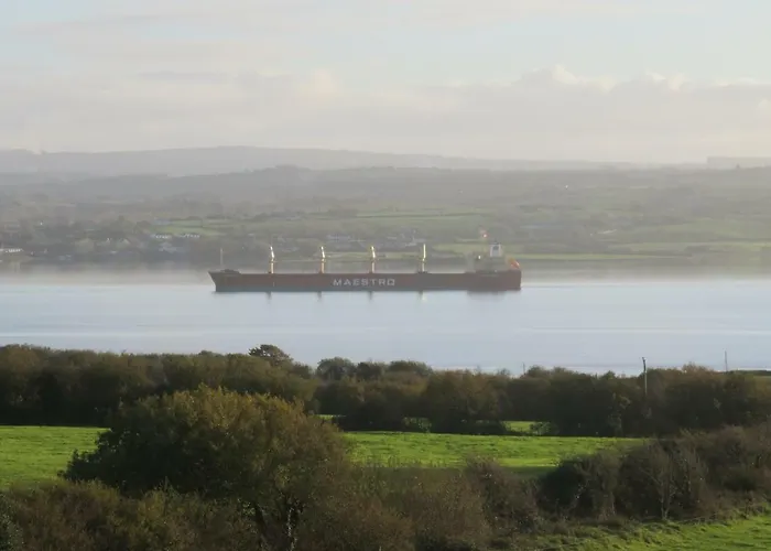 Shannon Estuary Glamping Budget-sustainable-biodiversity Habitat--rustic-countryside Campsite