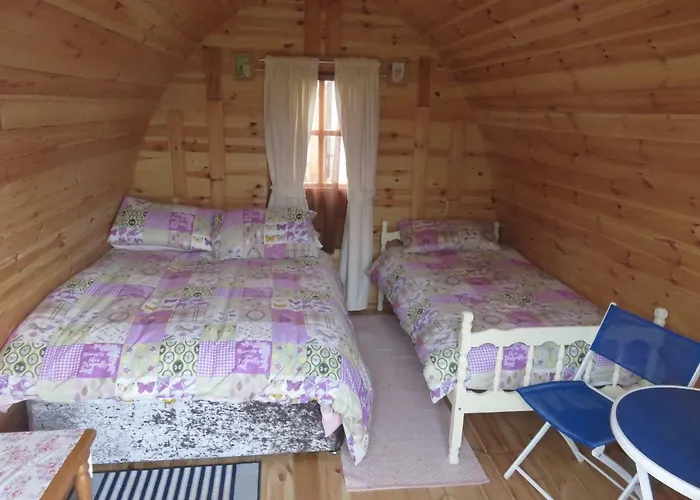 キャンプ場 Shannon Estuary Glamping Budget-sustainable-biodiversity Habitat--rustic-countryside *