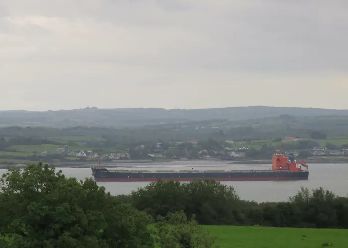 キャンプ場 Shannon Estuary Glamping Budget-sustainable-biodiversity Habitat--rustic-countryside