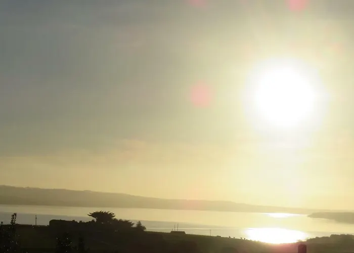 Shannon Estuary Glamping Budget-sustainable-biodiversity Habitat--rustic-countryside *